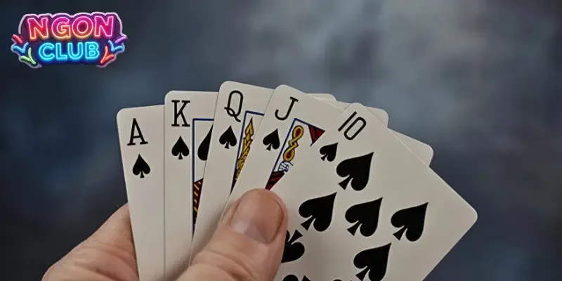 Cách chơi bài tấn đúng cách dành cho người mới bắt đầu 1 4 chất khác nhau của các lá bài