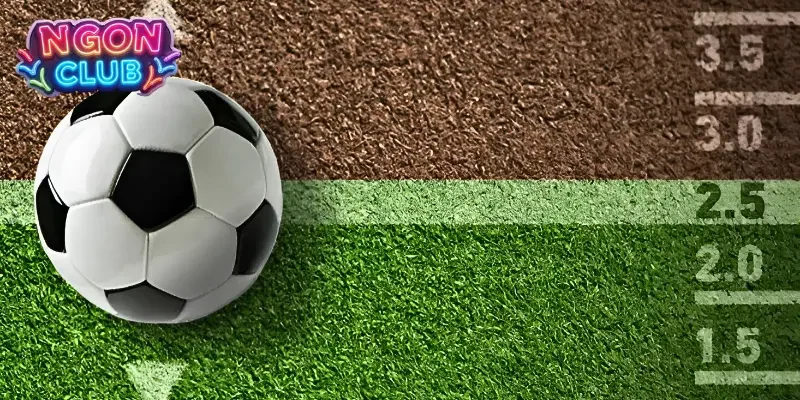 Hướng dẫn chơi tài xỉu bóng đá online